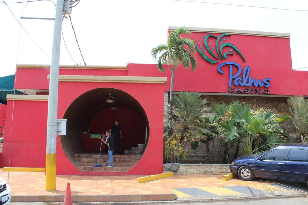 हथेलियों