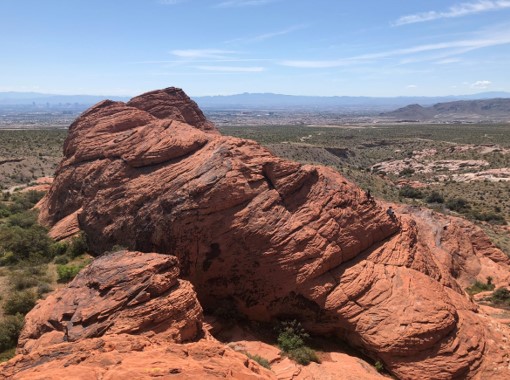 पेट्रोग्लिफ्स का सबसे बड़ा आउटक्रॉपिंग