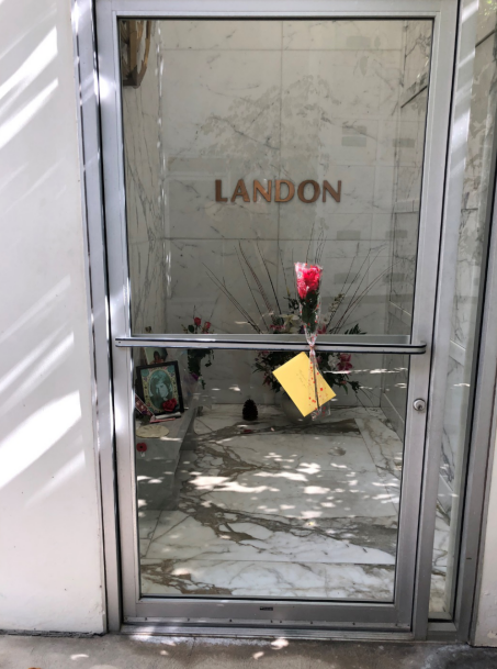 माइकल लैंडन