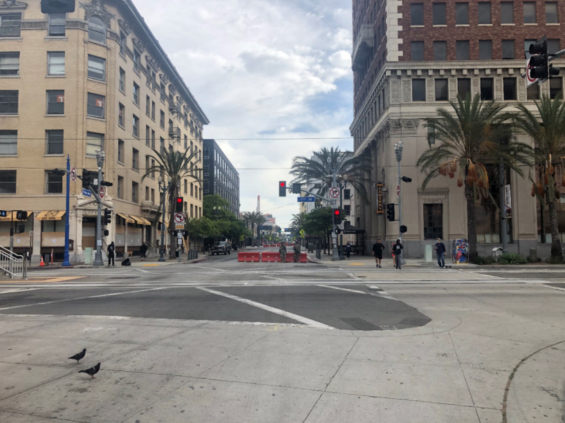 महासागर और चीड़