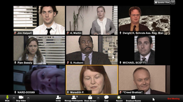 ज़ूम कॉल - सदस्य