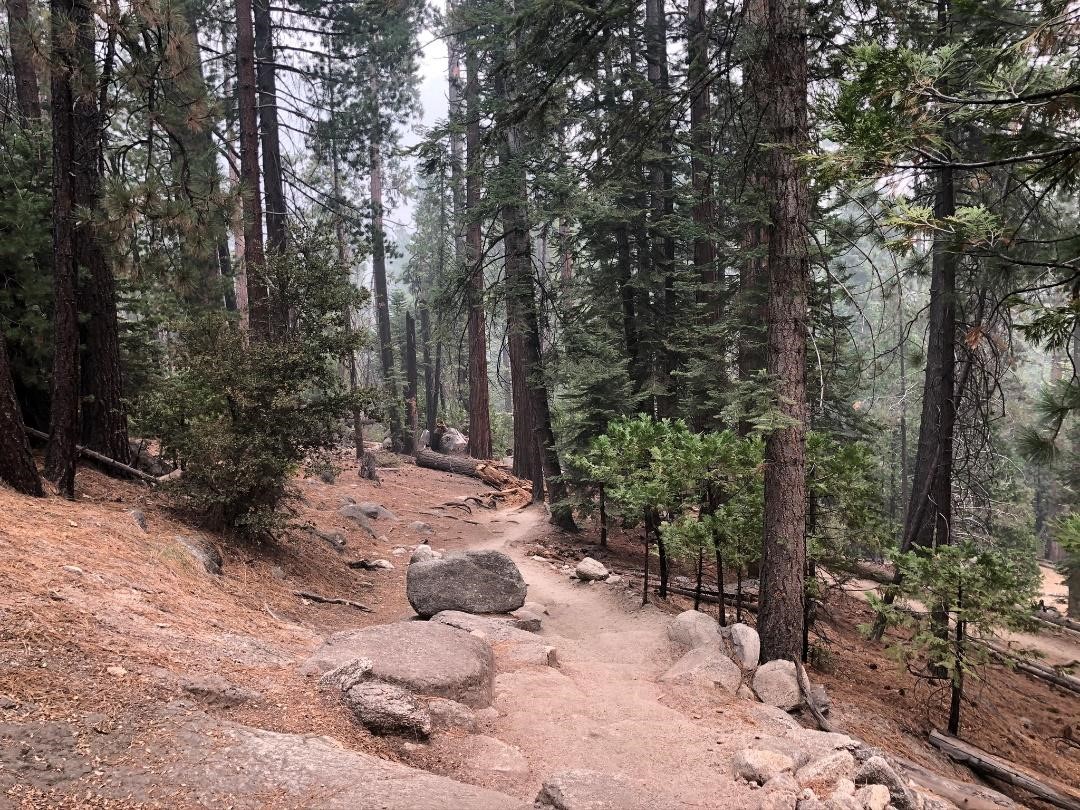 आधा गुंबद