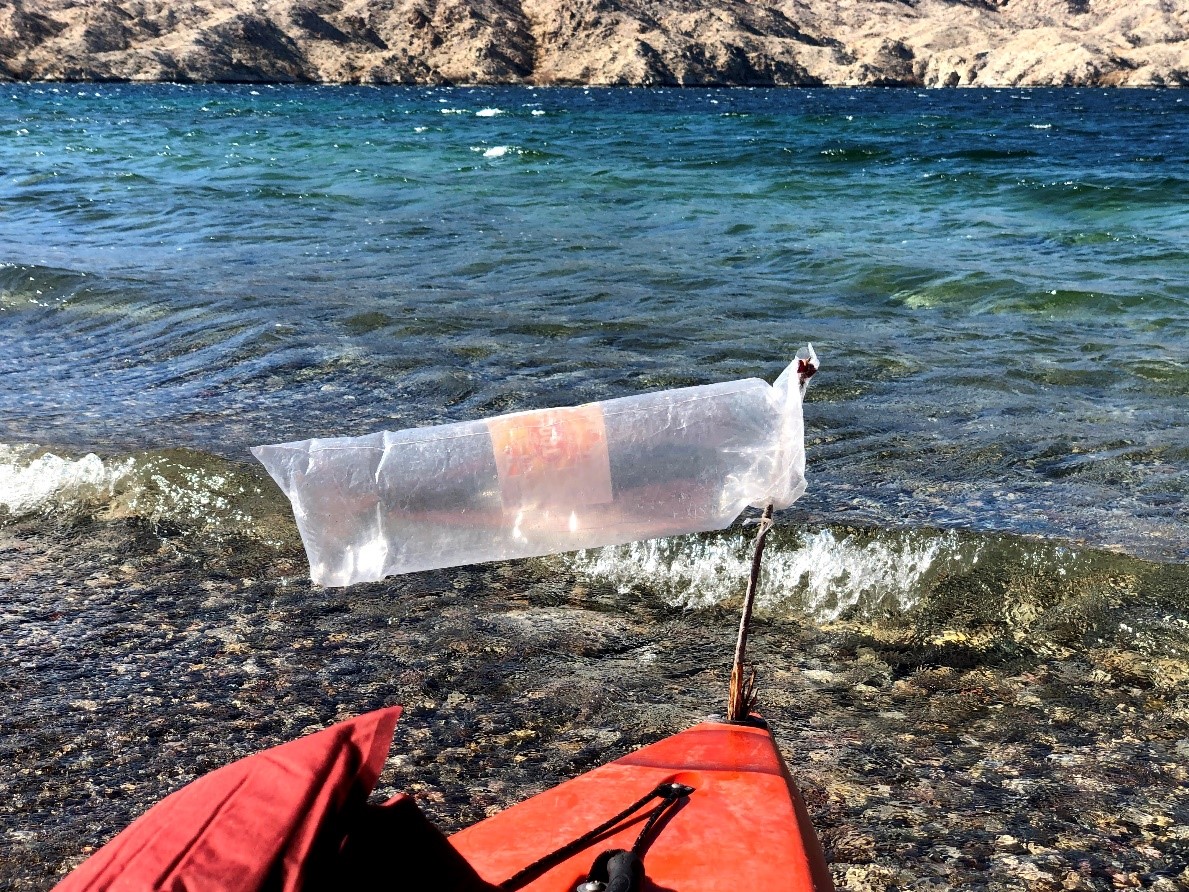 विंडसॉक