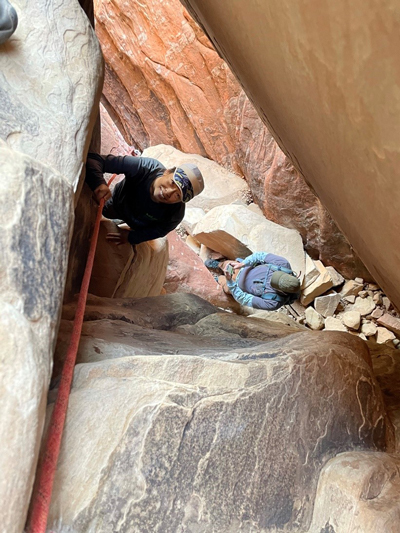 खरगोश का बिल