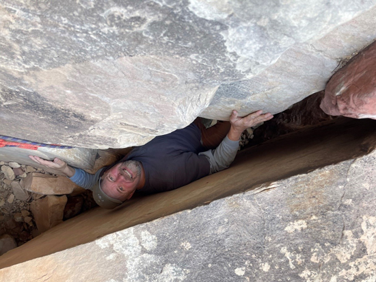 खरगोश का बिल