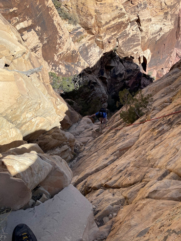 खरगोश का बिल