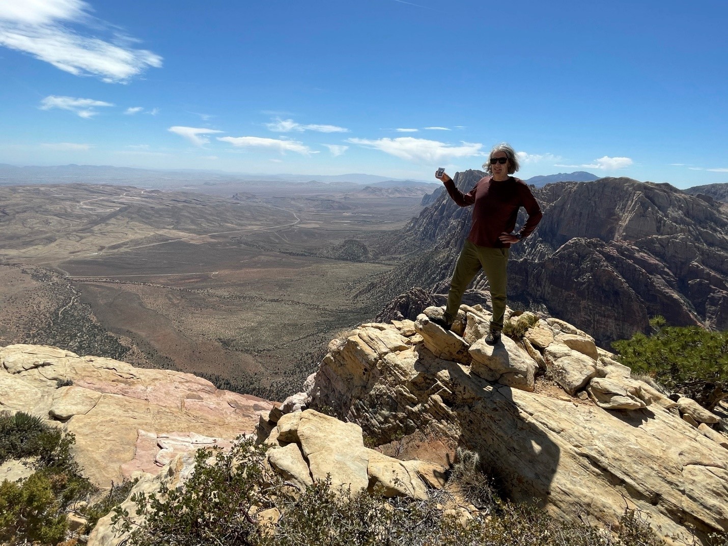 ब्रिज पॉइंट