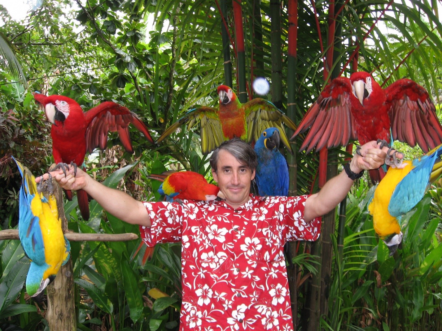 मैक्सिकन रिवेरा क्रूज