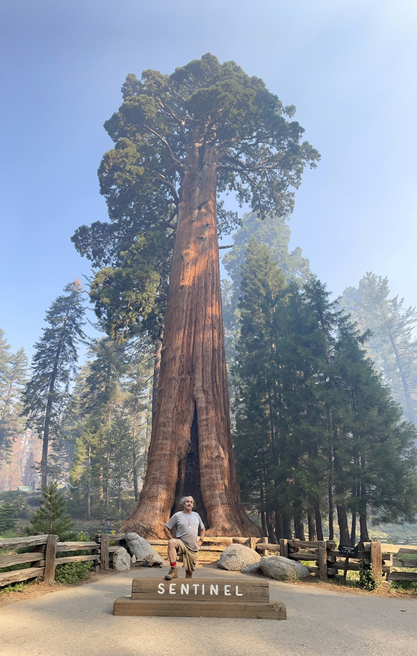 पहरेदार