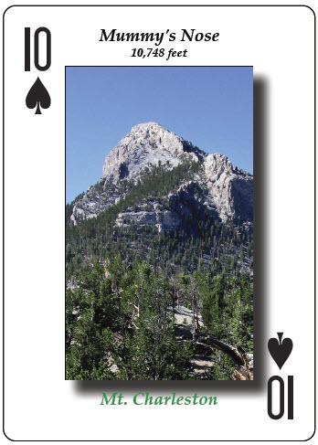 मम्मी की नाक