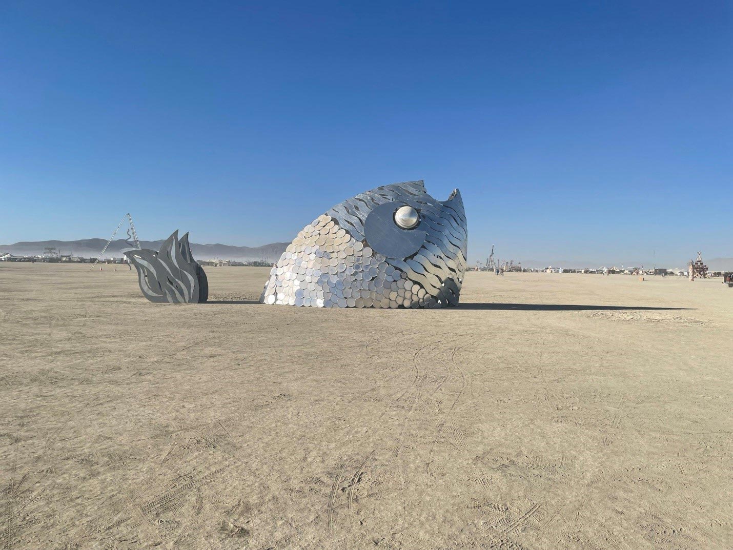 एक और सर्वव्यापी तैरने वाला प्राणी