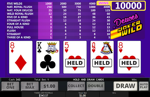 वीडियो-पोकर-स्लॉटलैंड