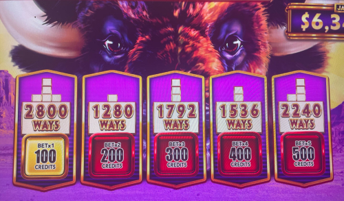 भैंस आरोहण जीतने के तरीके