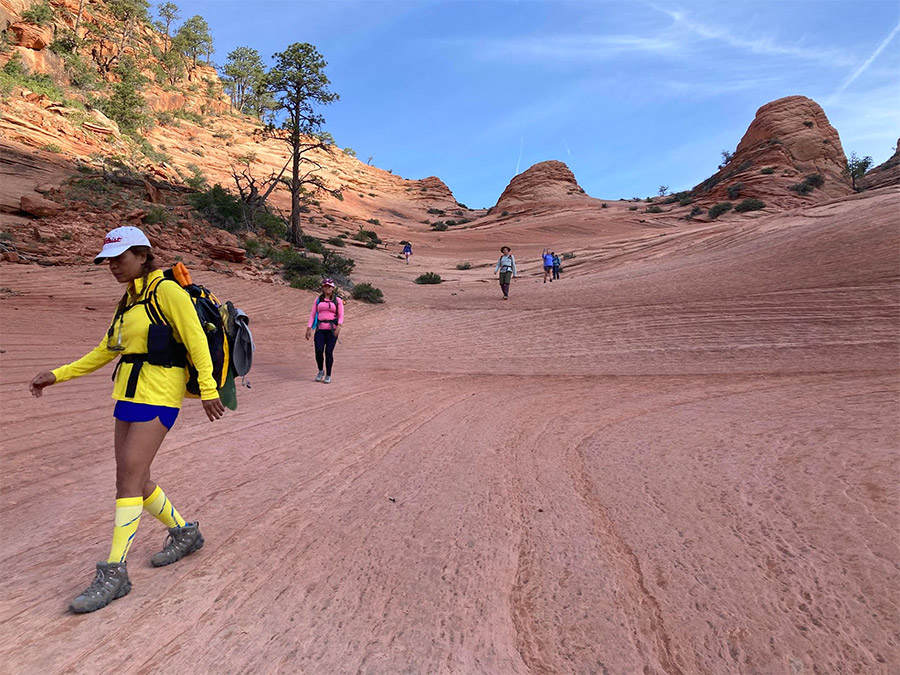 लहर एरिज़ोना