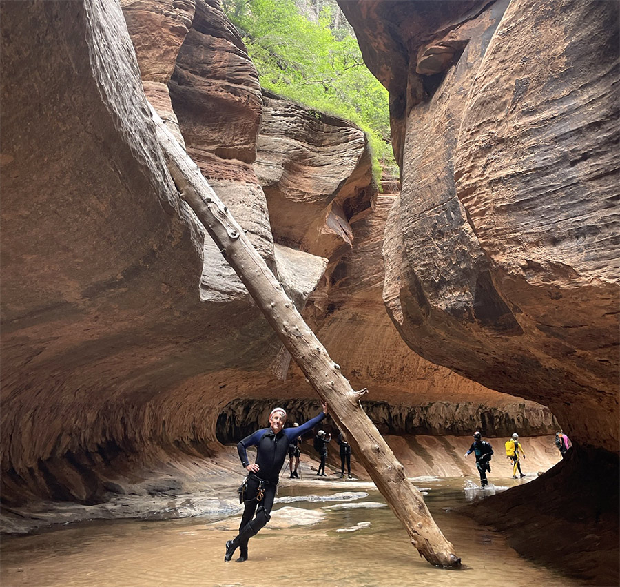 गिरा हुआ लट्ठा