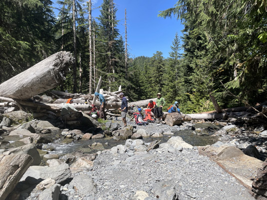 धारा पार करना