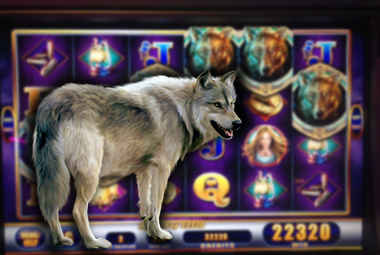 अल्टीमेट_सिस्टम_5