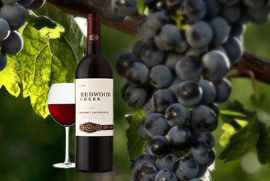 अल्टीमेट_सिस्टम_9